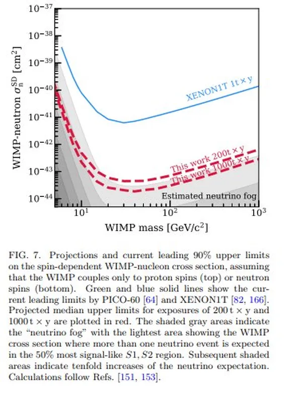XENONnT Experiment Achieves World-Leading Dark Matter Search Results with Ionization-Only Detection