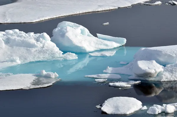 The Tara Polar Station Begins Transit for Inaugural Arctic Drift Expedition